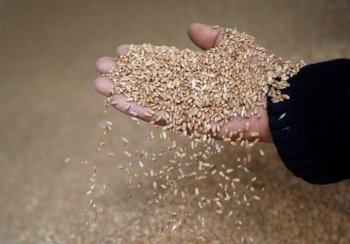 पाकिस्तान–शासित– कश्मीरमा चरम खाद्य संकट