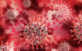 थप १९ जनामा कोरोना भाइरस संक्रमण पुष्टि, ४९ जना डिस्चार्ज