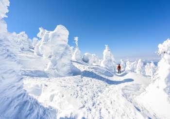 जापानमा हिमपहिरोमा परी दुई पर्यटकको मृत्यु