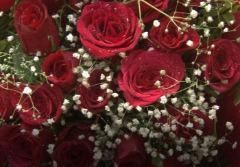 ‘भ्यालेन्टाइन डे’ का लागि आवश्यक ९३ प्रतिशत फूल भारतबाट आयात