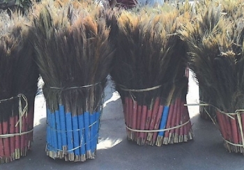 ७ महिनामा ८५ लाख किलो अम्रिसो निर्यात, ५४ करोड भित्रियो