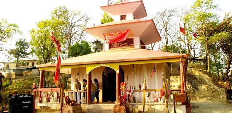 आज चैतेदशैँ, देवीको उपासना गरी मनाइँदै