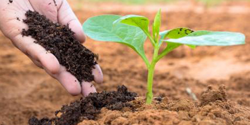 प्राङ्गारिक मल प्रयोग गर्न सुझाव