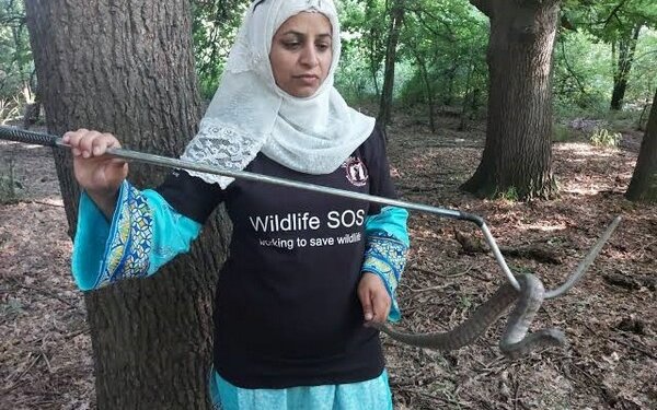 जम्मू कश्मीरकी वन्यजन्तु संरक्षक आलिया मिर सम्मानित