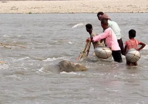 नदीमा करेन्ट लगाएर माछा मार्ने चार जना पक्राउ