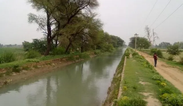 कञ्चनपुरको महेन्द्रनगरमा निर्माण भएको महाकाली सिँचाइ नहर परीक्षण भयो,पानी आएन