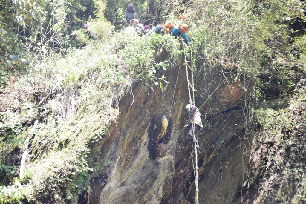 भिरमहको आम्दानीबाट शिक्षकलाई तलब