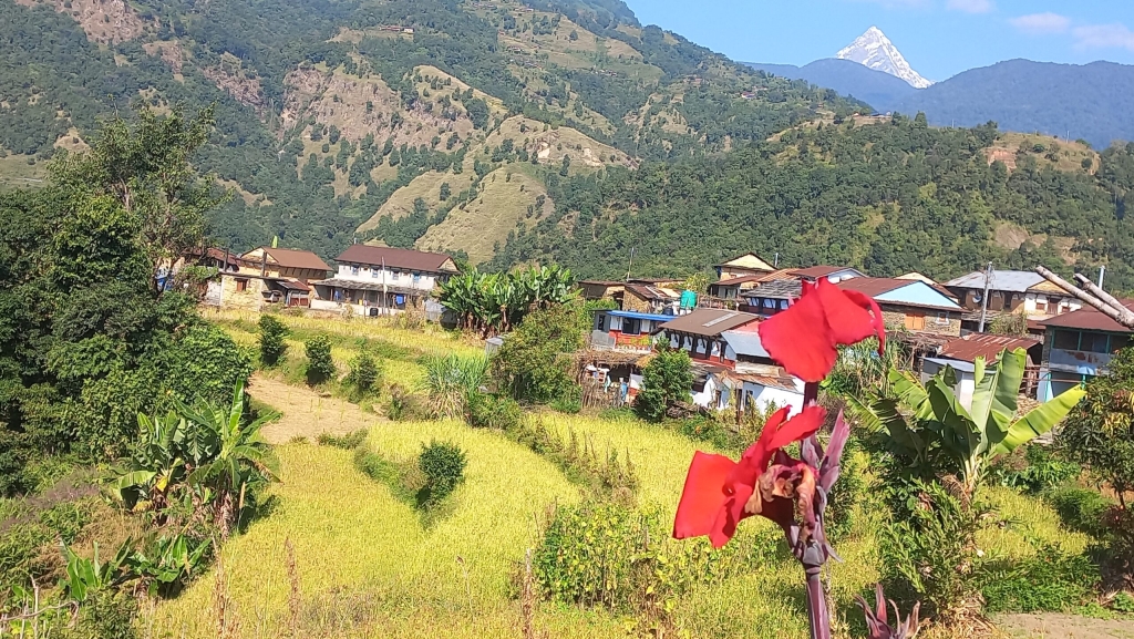 महानगरबासीलाई वडा कार्यालय पुग्नै सास्ती