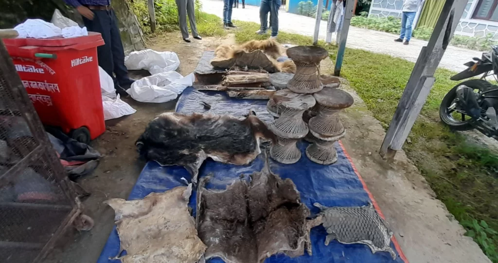 वन्यजन्तुको आखेटोपहार चितवन पठाउने तयारी