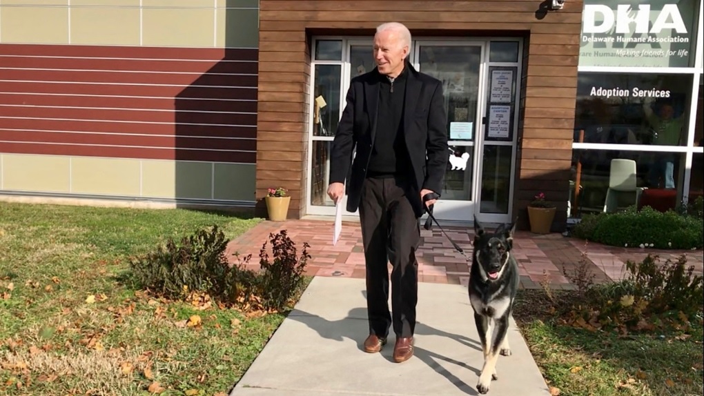 राष्ट्रपति बाइडेनको कुकुरले फेरि मान्छे टोक्यो !