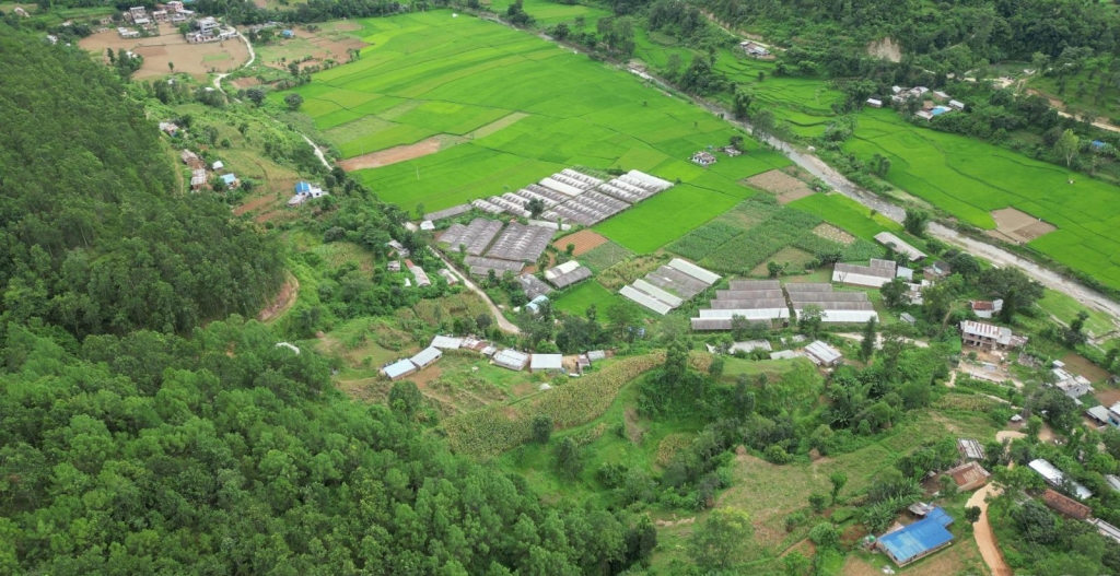 राजधानीका पाँचतारे होटलमा पाँचखालको मासु र तरकारी