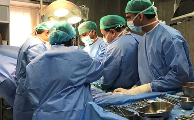 मान्छेमा प्रत्यारोपण गरियो सुँगुरको मृगौला