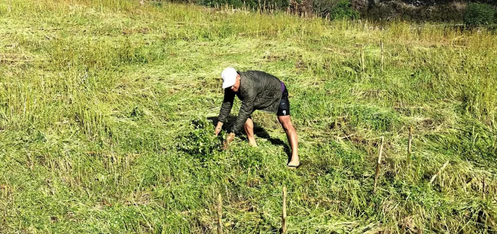 बेमौसमी वर्षाले फापर बाली र तरकारी नष्ट