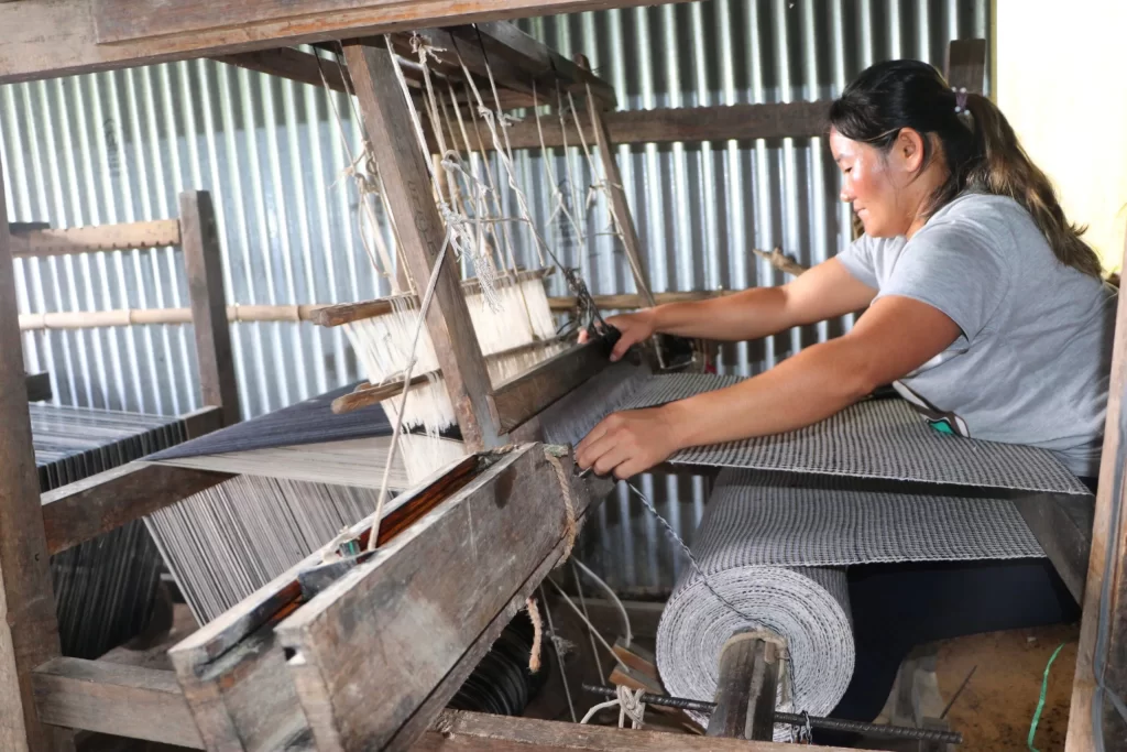 जङ्गलमा उत्पादित अल्लोबाट रोजगारीसँगै आम्दानी
