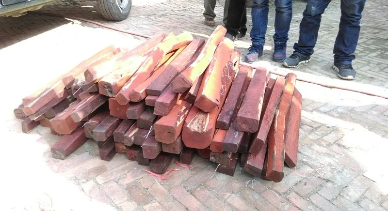 कपिलवस्तुमा साढे छ क्विन्टल रक्तचन्दन बरामद