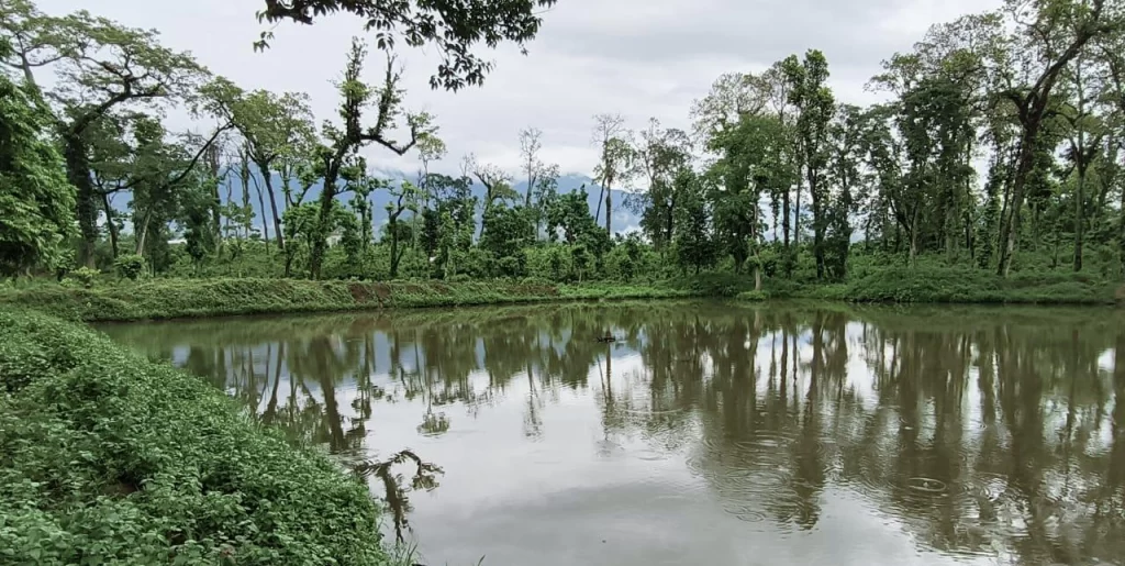 पर्यटन प्रवर्द्धनार्थ जङ्गलमा ताल निर्माण सुरु