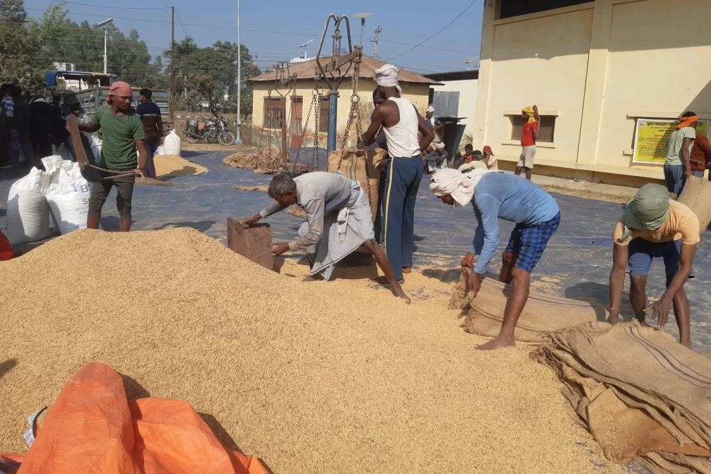 अन्नभण्डार मधेसमै धान पाउन मुस्किल