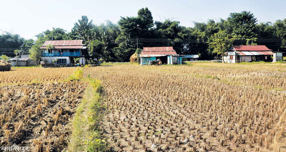 इलाममा जग्गा माग गर्दै १६ हजार निवेदन
