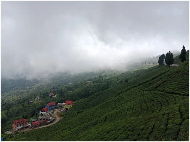 चिया टिप्न हातेमेसिन प्रदान गर्दै सूर्योदय नगरपालिका