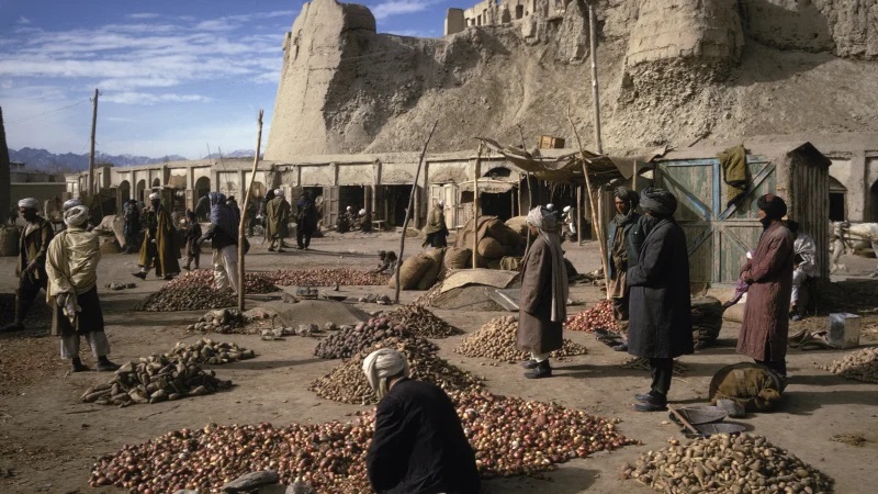 अफगानिस्तानका पुरातात्त्विक क्षेत्रमा व्यवस्थित रुपमा लुटपाट भैरहेको शोधकर्ताको दाबी