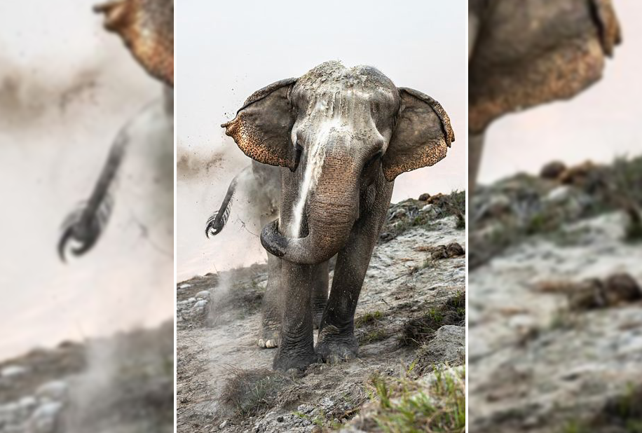 विश्वकै उत्कृष्ट नेपालको यो फोटो