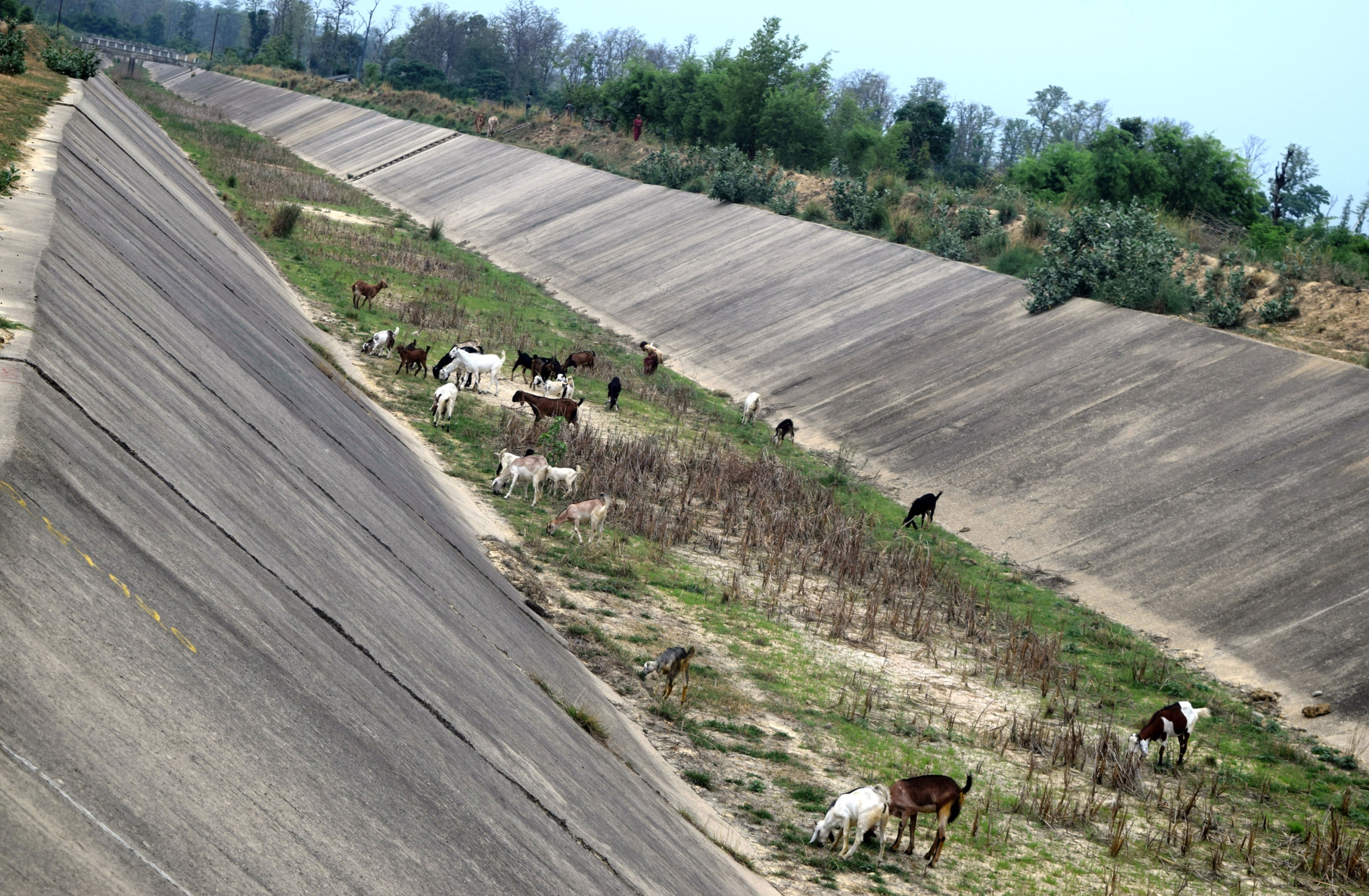 बजेट अभावले महाकाली सिँचाइ आयोजना प्रभावित