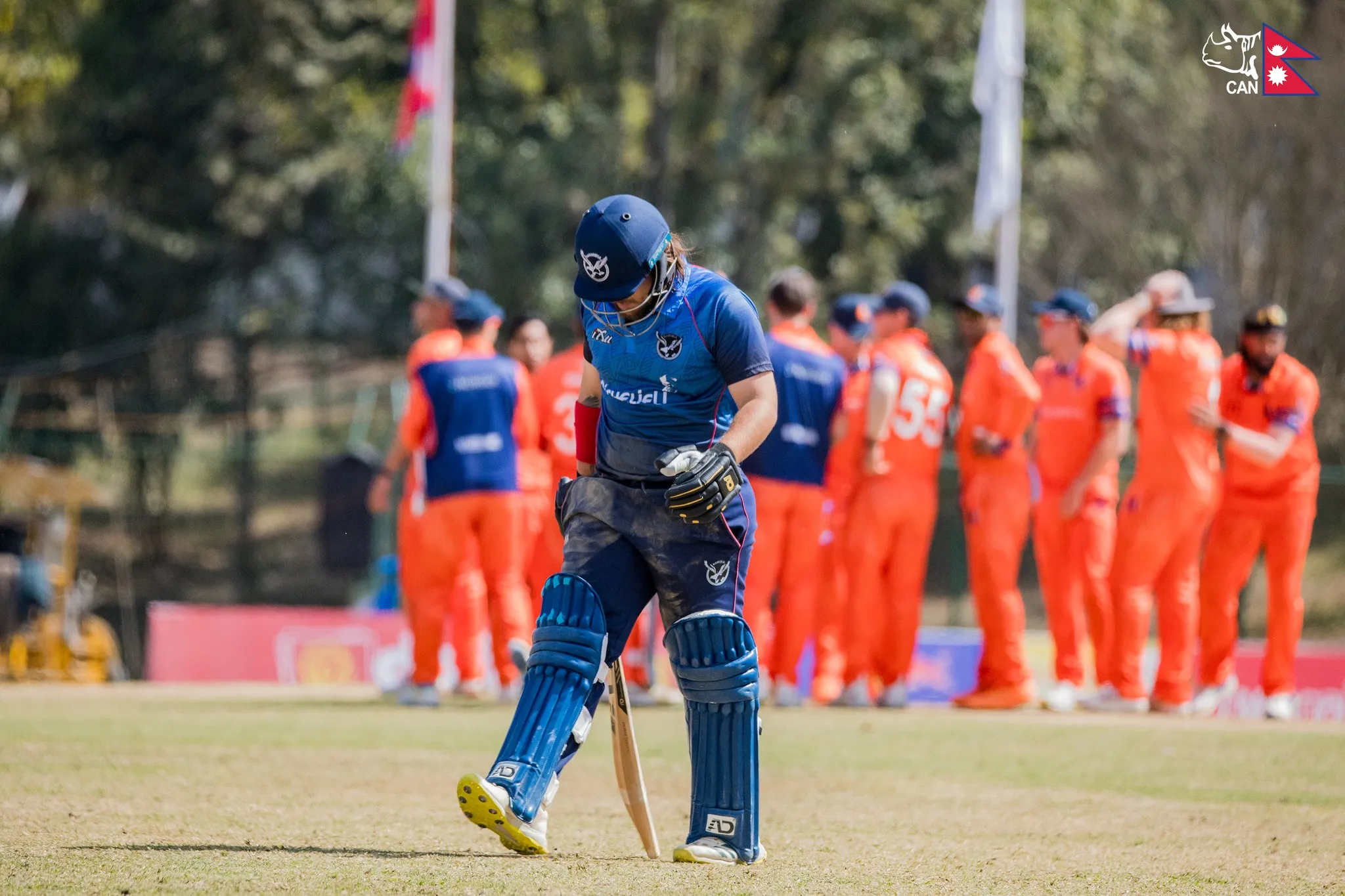 नामिबियाले नेदरल्याण्ड्सलाई दियो २ सय ४ रनको लक्ष्य