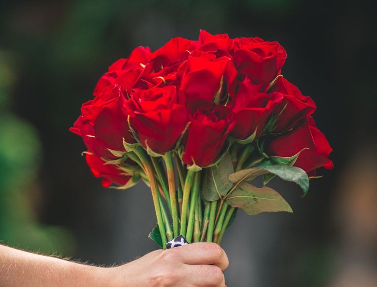 भ्यालेन्टाइन डे – झण्डै साढे तीन करोड रुपैयाँको गुलाबको कारोबार, ९० प्रतिशत भारतबाट आयात