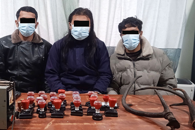 सरकारी नक्कली छाप र जरायाको सिङसहित तीन जना पक्राउ