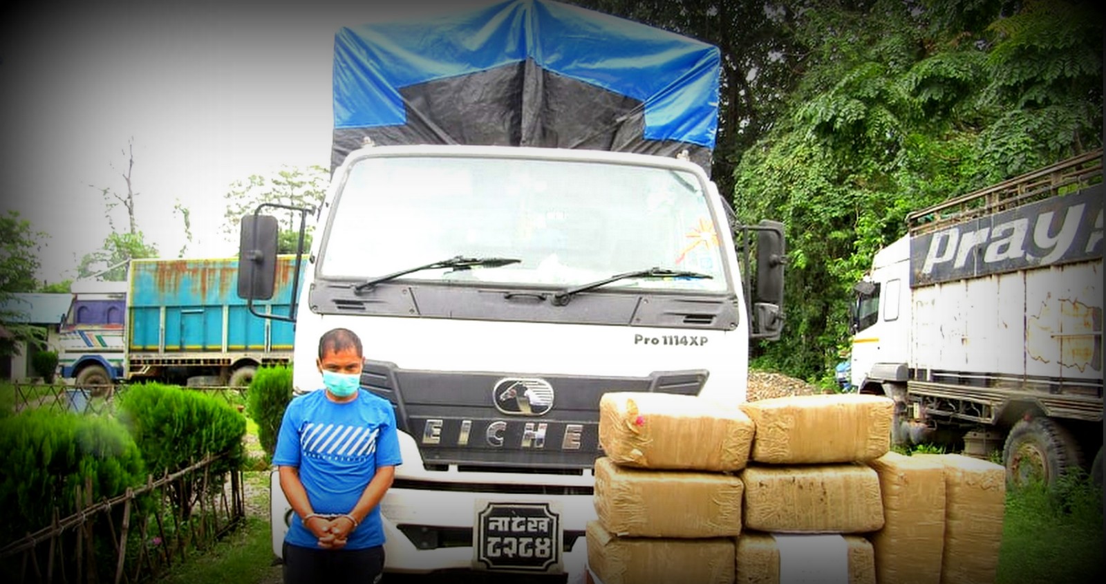 ६ सय किलो गाँजासहित ट्रक चालक पक्राउ