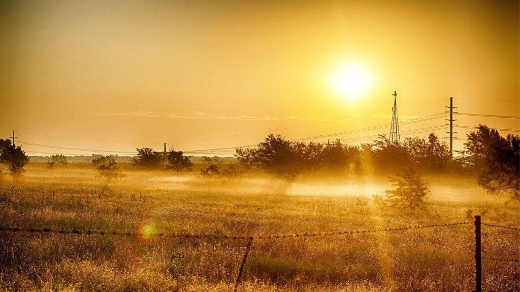 भारतमा अत्यधिक गर्मीमा काम गर्ने गर्भवती महिलामा गर्भपतन र मृत बच्चा जन्मने जोखिम उच्च