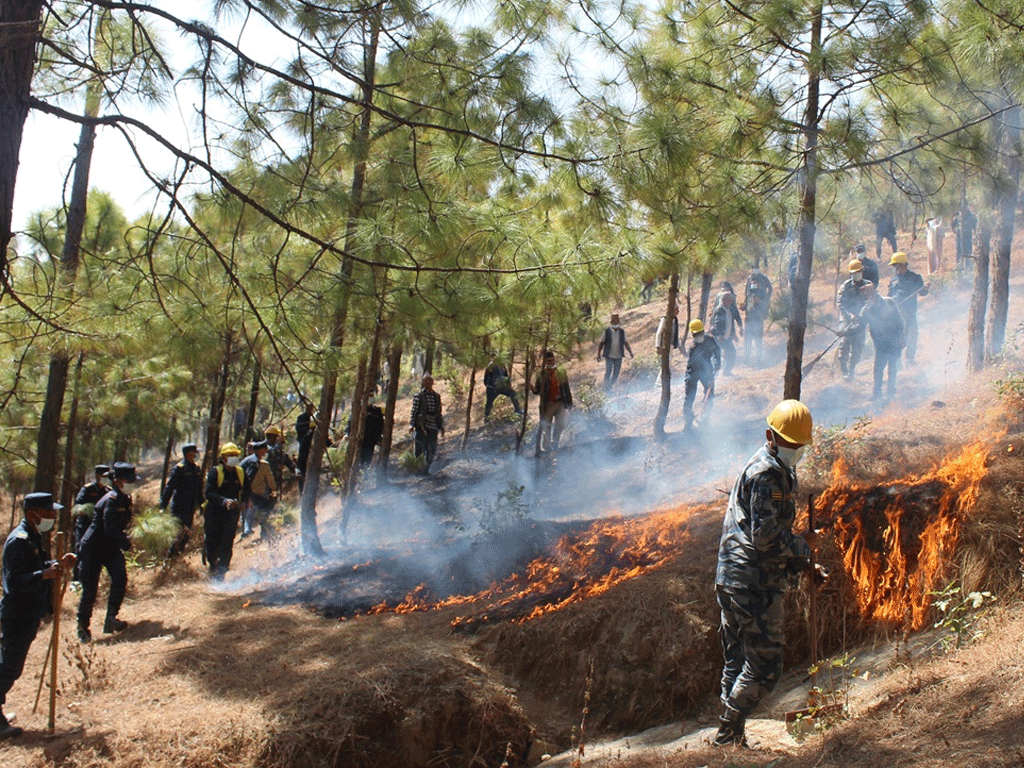 सुरक्षाकर्मीले गरे आगो निभाउने अभ्यास