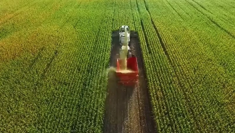 प्रविधिको प्रयोगबाट कृषि प्रणालीलाई सुधार गर्न सकिन्छ; विश्व आर्थिक मञ्च