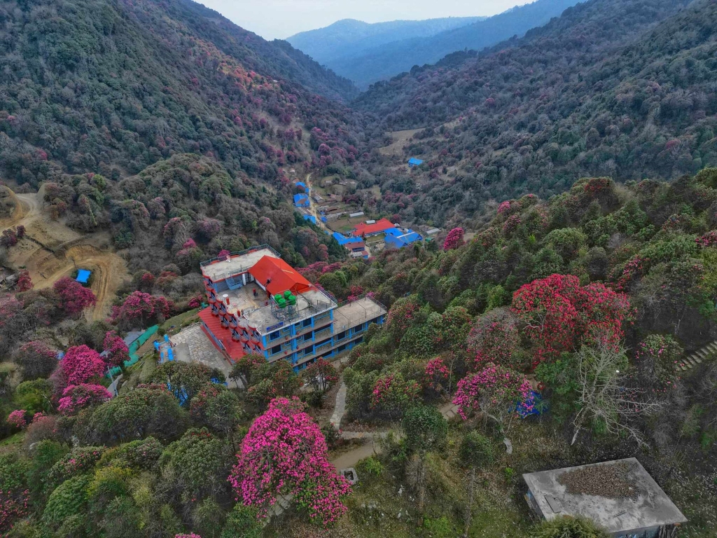 म्याग्दीका वनपाखामा लालीगुराँस हेर्नेको भीड