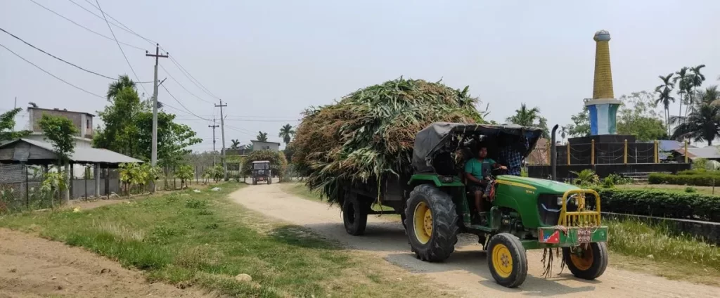 बोटसँगै मकै बिक्री भएपछि किसान उत्साहित