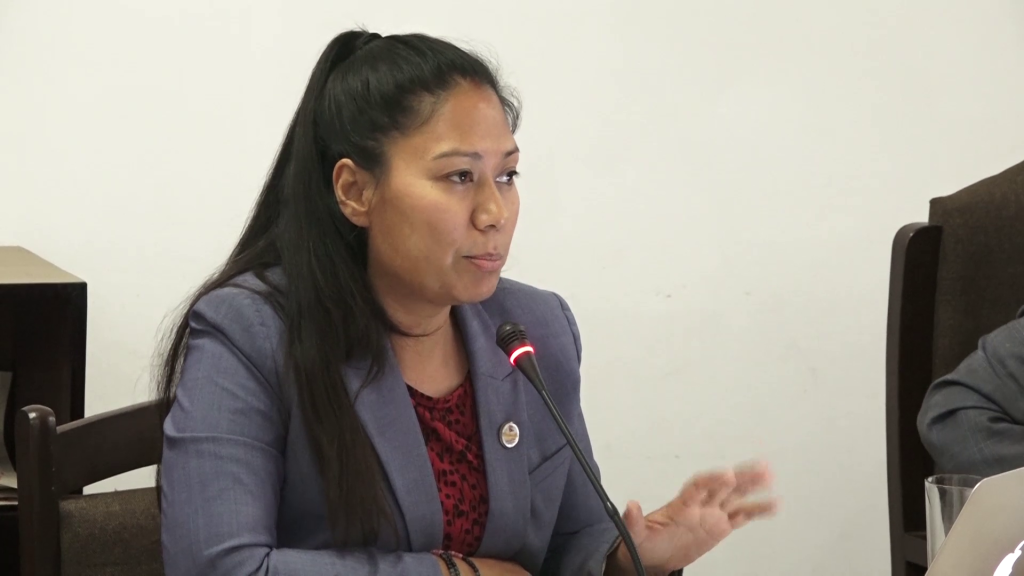 विश्वविद्यालयहरूमा दलीय हस्तक्षेप हुँदैनः शिक्षामन्त्री श्रेष्ठ