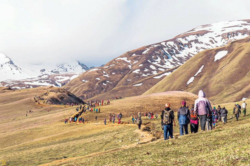 डोल्पामा जेठ १० गतेदेखि यार्सा सङ्कलन खुला