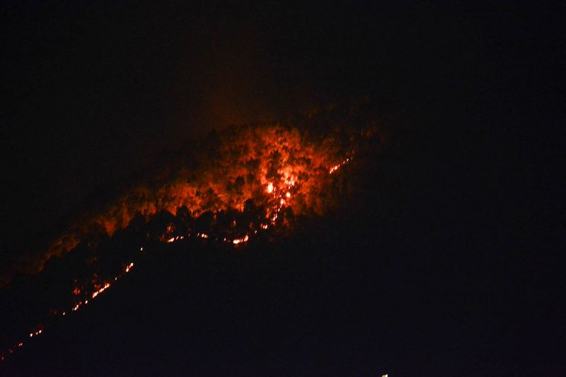 रामेछापमा डढेलोमा परेर एक महिलाको मृत्यु