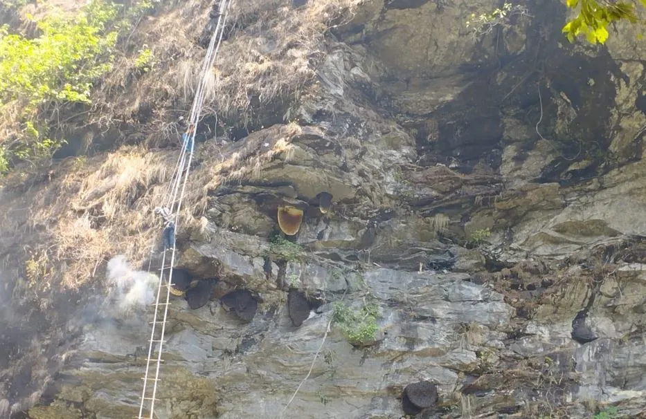 धादिङको तेम्बाह्यारा महभीरमा ‘हनी हन्टिङ’