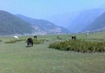 आन्तरिक पर्यटकको रोजाइमा ढोरपाटन शिकार आरक्ष