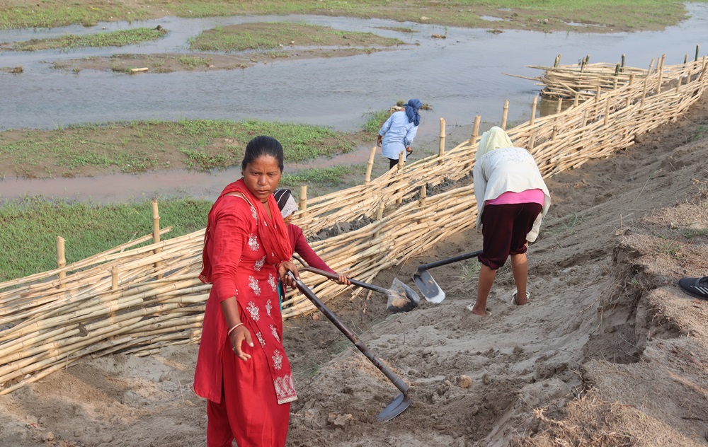 भूक्षय नियन्त्रणमा जैविक तटबन्ध प्रभावकारी