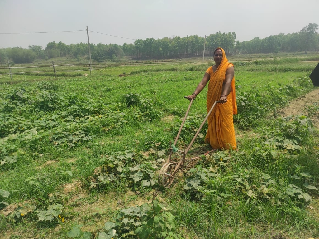 तरकारी खेतीबाट मनग्य आम्दानी