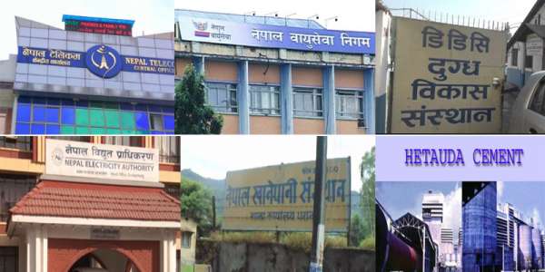 ४४ सार्वजनिक संस्थानमध्ये २६ सार्वजनिक संस्थान नाफामा