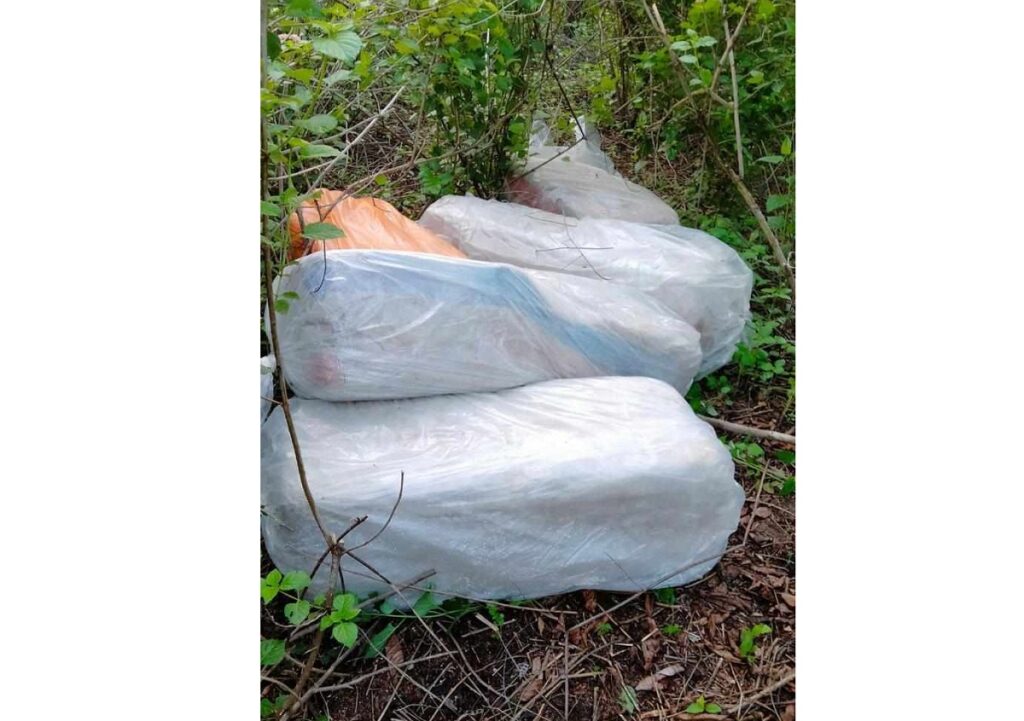 उदयपुरबाट २ सय ८० किलो गाँजा बरामद