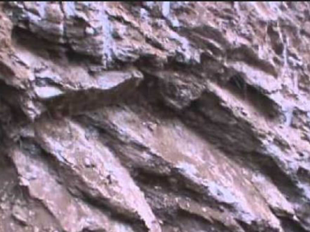 भोजपुरको सेल्मे फलाम खानी सञ्चालनमा ल्याउन माग