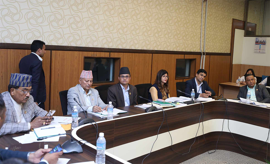 सहकारी छानबिन समितिले गृहसचिव र प्रहरी महानिरीक्षकलाई बोलायो