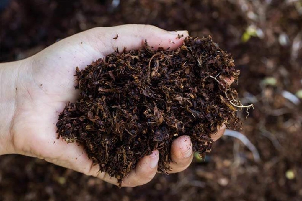 जैविक मल उत्पादन गर्न भैँसीपालन