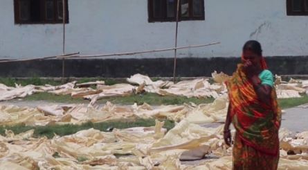 छाला उद्योगको दुर्गन्धले बिरामी हुन थालेपछि स्थानीय आन्दोलित