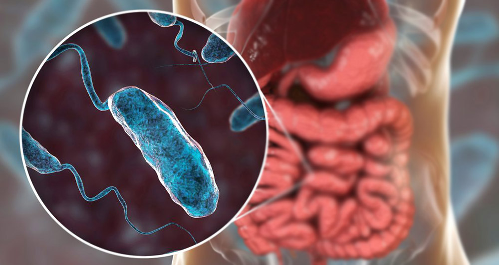 वीरगन्जमा हैजाको त्रास, ९३ जनामा संक्रमण देखियो