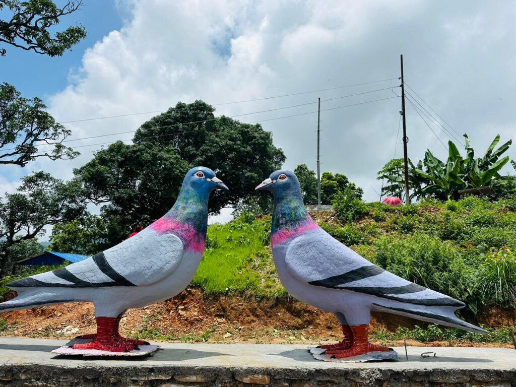 पर्यटक लोभ्याउन ‘परेवा जोडी’